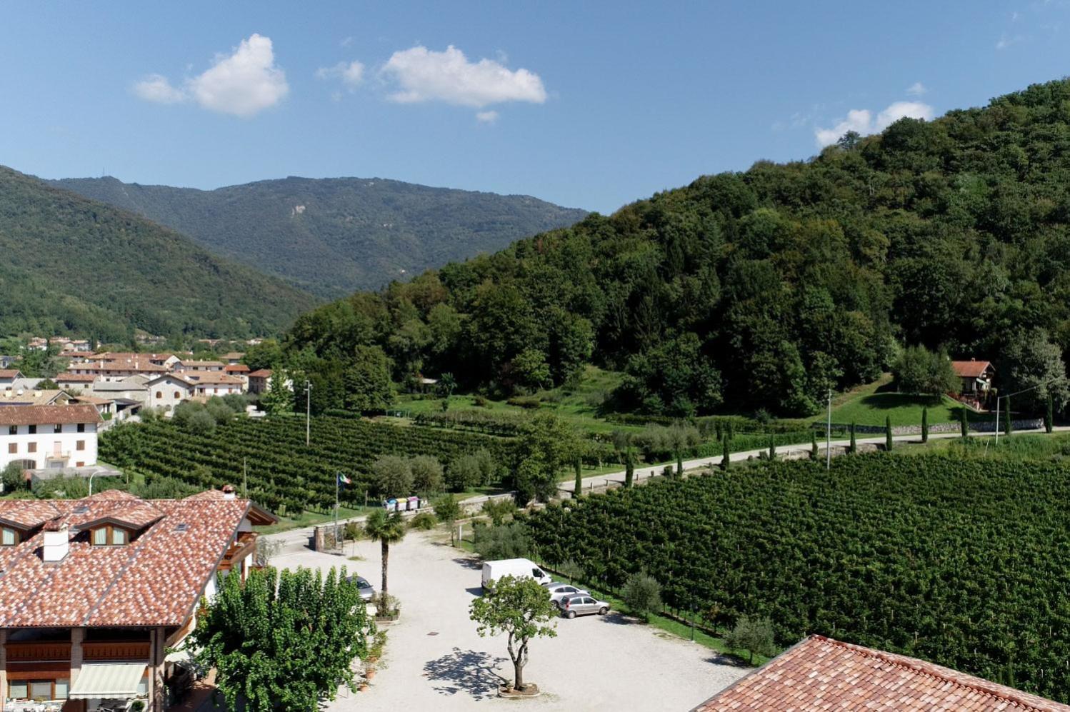 Wine Resort Faedis Екстер'єр фото